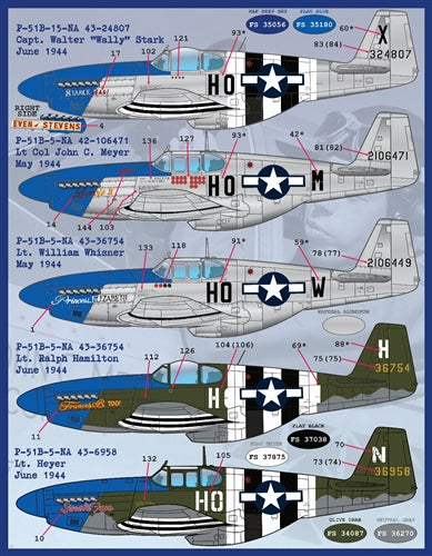 FURBALL 32-006 1/32 P-51 Myers Moellers Part 1