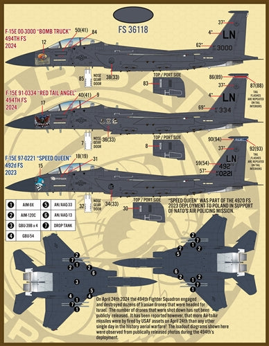 FURBALL 48-093 1/48 F-15E Drone Killer