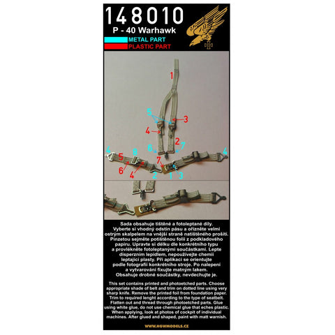 HGW Models 148010 1/48 Curtiss P-40 Warhawk / Kittyhawk 2 sets | Hasegawa, Mauve, Trumpeter