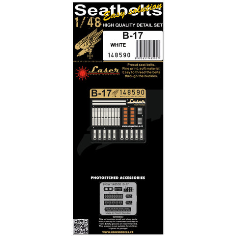HGW Models 148590 1/48 B-17 (White) pre-cut (laser)