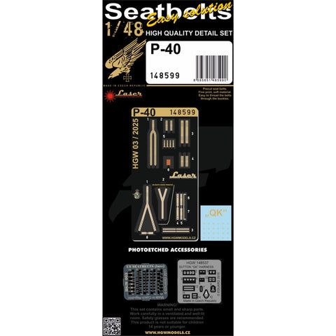HGW Models 148599 1/48 P-40 pre-cut (laser)