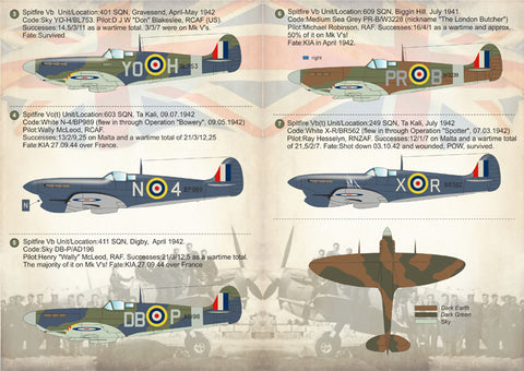 Print Scale 48-123 1/48 Spitfire MkV Aces Part-2 48-123 Scale 1/48