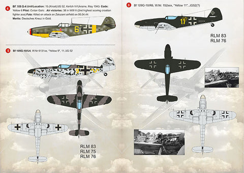 Print Scale 48-162 1/48 BF 109 G High Altitude Aces