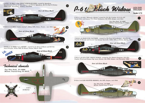 Print Scale 72-036 1/72 P-61 Black Widow