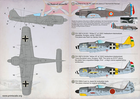 Print Scale 72-393 1/72 FW-190 in Foreign Service Part 1