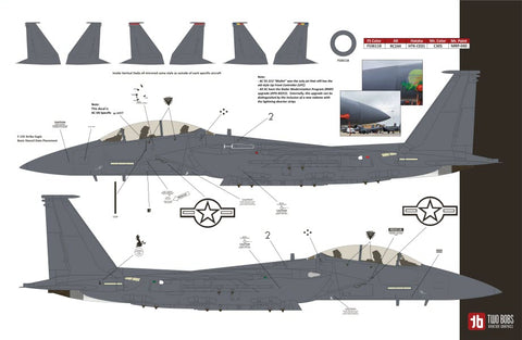 Two Bobs 48-286 1/48 F-15E Black Panther Drone Killer