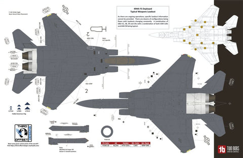 Two Bobs 48-286 1/48 F-15E Black Panther Drone Killer