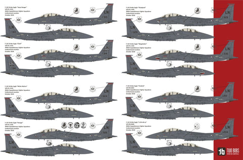 Two Bobs 72-109 1/72 F-15E Strike Eagle Maximum Effort Eagles