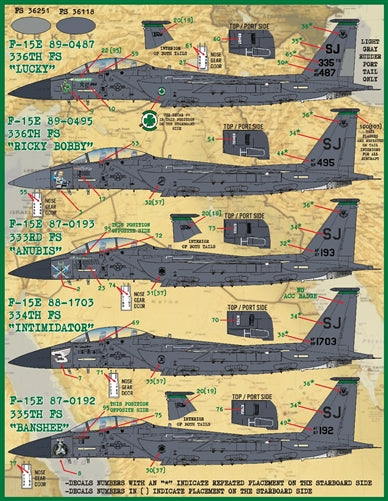 FURBALL 48-098 1/48 F-15E 4th Fighter Wing Drone Killer