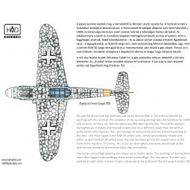 HAD Models 32042 1/32 Messerschmitt Bf 109 G-6 ”Erzsike” decal sheet