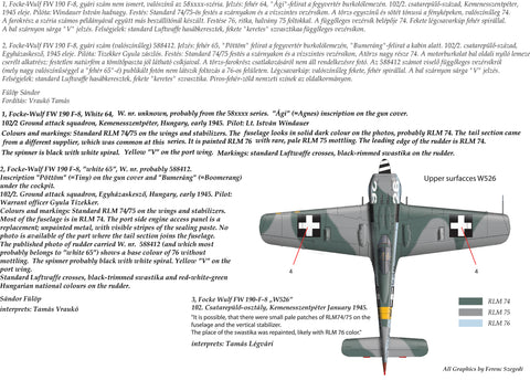 HAD Models 32057 1/32 FW 190 F-8 decal sheet