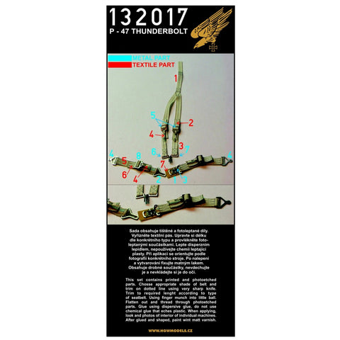 HGW Models 132017 1/32 P-47 Thunderbolt 2 sets | Hasegawa, Trumpeter