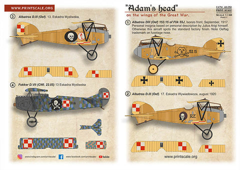 Print Scale 48-250 1/48 "Adam's head" on the wings of the Great War  Part 1