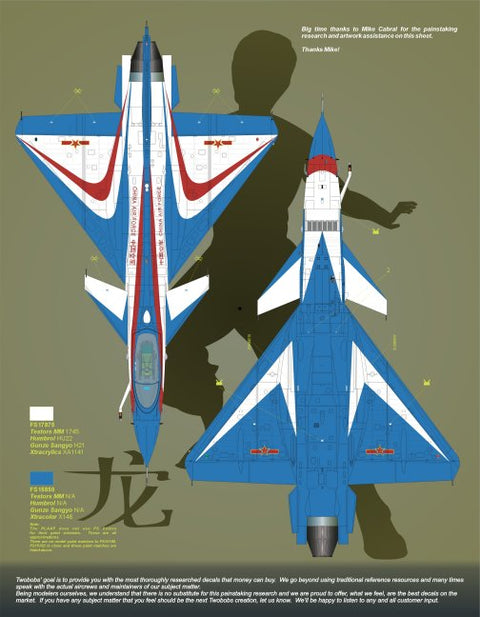 Two Bobs 48-233 1/48 J-10A Vigorous Dragon Enter the Dragon