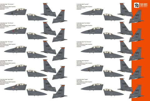 Two Bobs 48-267 1/48 McDonnell Douglas F-15E Strike Eagle