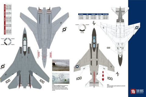 Two Bobs 48-285 1/48 F-4N/F-14 VF-201 Lone Star Hunter