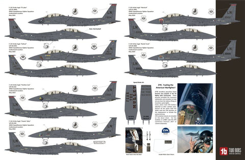 Two Bobs 48-286 1/48 F-15E Black Panther Drone Killer