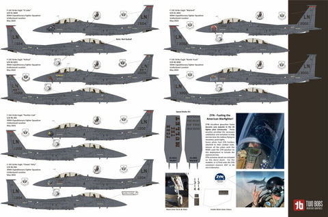 Two Bobs 72-112 1/72 F-15E Black Panther Drone Killer