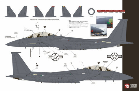 Two Bobs 72-112 1/72 F-15E Black Panther Drone Killer